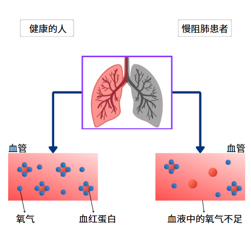 &#74;&#68;&#66;&#40;&#20013;&#22269;&#30005;&#23376;&#41;&#23448;&#26041;&#32593;&#31449;